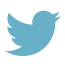 icon-twitter